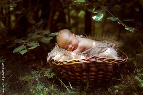 Newborn baby in basket among green leaves
