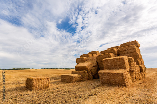 Landscape with bales of straw on the field