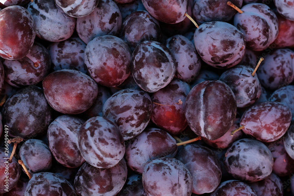Fototapeta premium Close up of ripe fresh plums, top view 