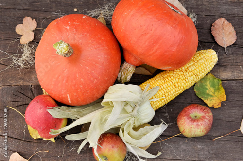 top view on pumpkins, maize and apples arranged on a wooden background