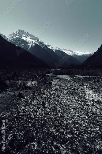 View of alps in Yumthang valley, North Sikkim India