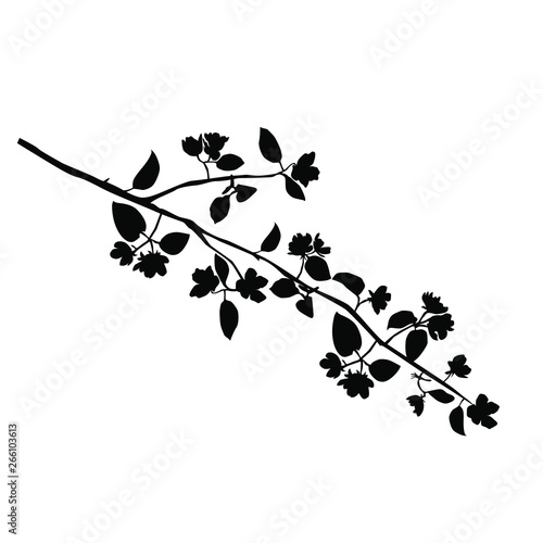 Silhouette of apple or cherry flower with leaf, branch blossom, vector, black color, isolated on white background