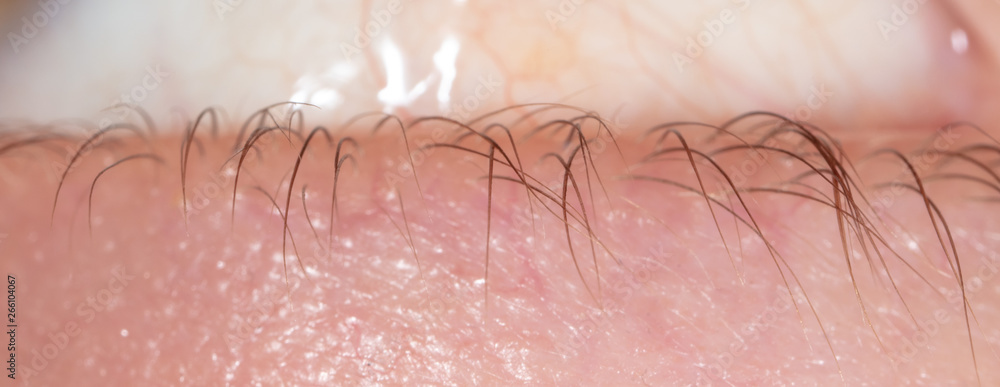 Fototapeta premium Eyelashes in front of the boy, Macro