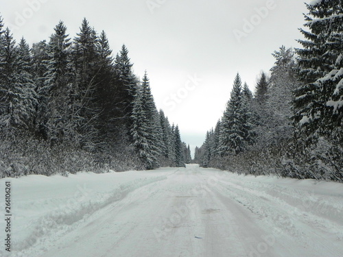 Winter snow-covered road. Beautiful forest, nature and road covered with snow. Details and close-up.