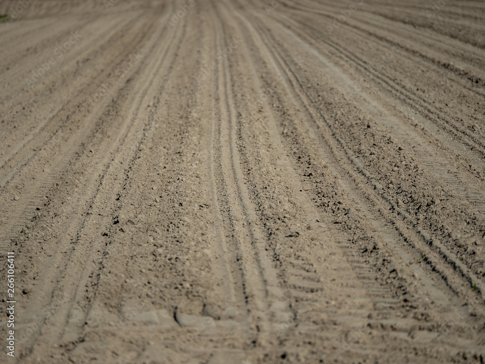 Image of agricultural field which is damaged due to dryness and climate change Image of agricultural field which is damaged due to dryness and climate change