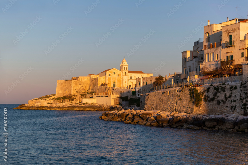 Sunset view of Vieste and cathedral in Apulian Romanesque style, Italy