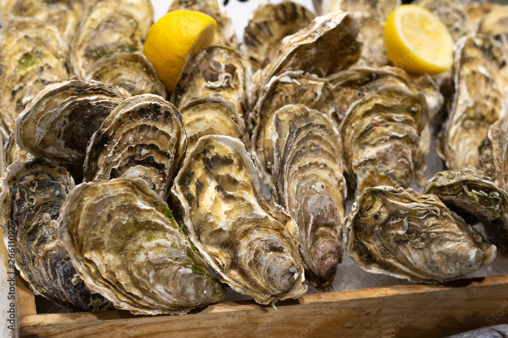 Obraz premium Fresh premium quality oysters with lemon in the wooden box on the ice. Traditional delicatessen seafood.