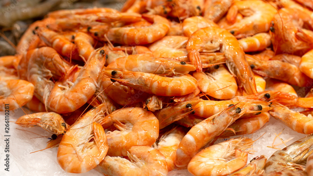 Big fresh natural shrimps on ice. Close up of traditional premium seafood Big fresh natural shrimps on ice. Close up of traditional premium seafood