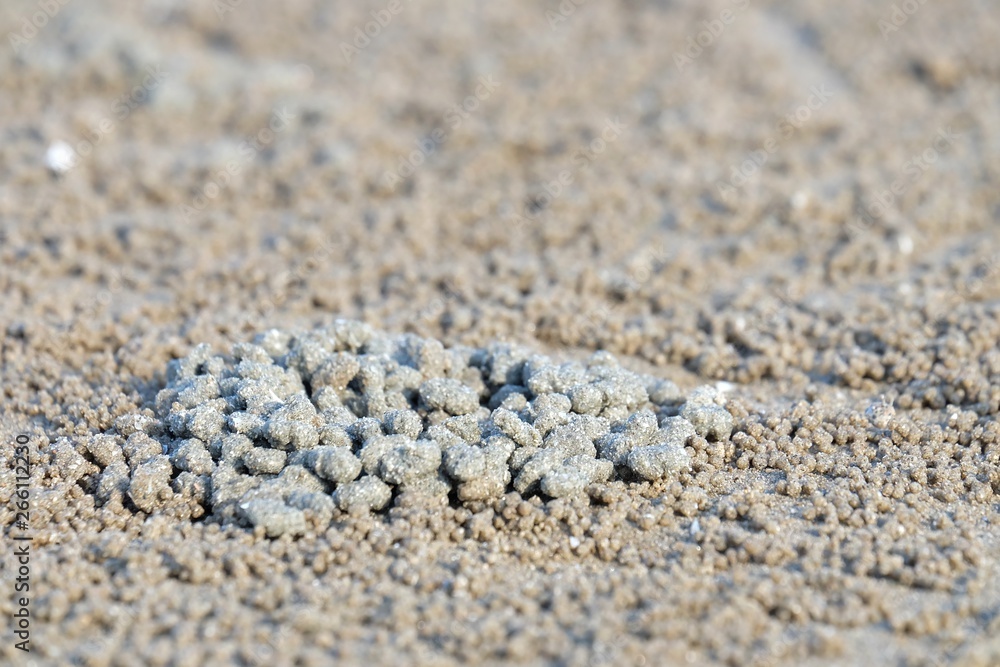 A pile small grain of sand that made by a hermit crab on a sea beach for background backdrop 