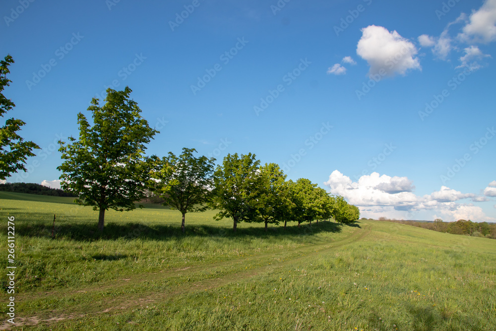 Landschaft in der Mecklenburgischen Schweiz Landschaft in der Mecklenburgischen Schweiz