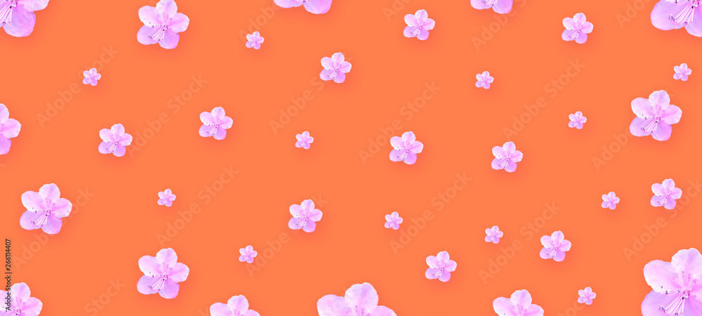 Beautiful spring flowers on a coral background. Congratulatory background. Holiday card.