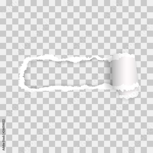 transparent torn paper. vector illustration with shadows