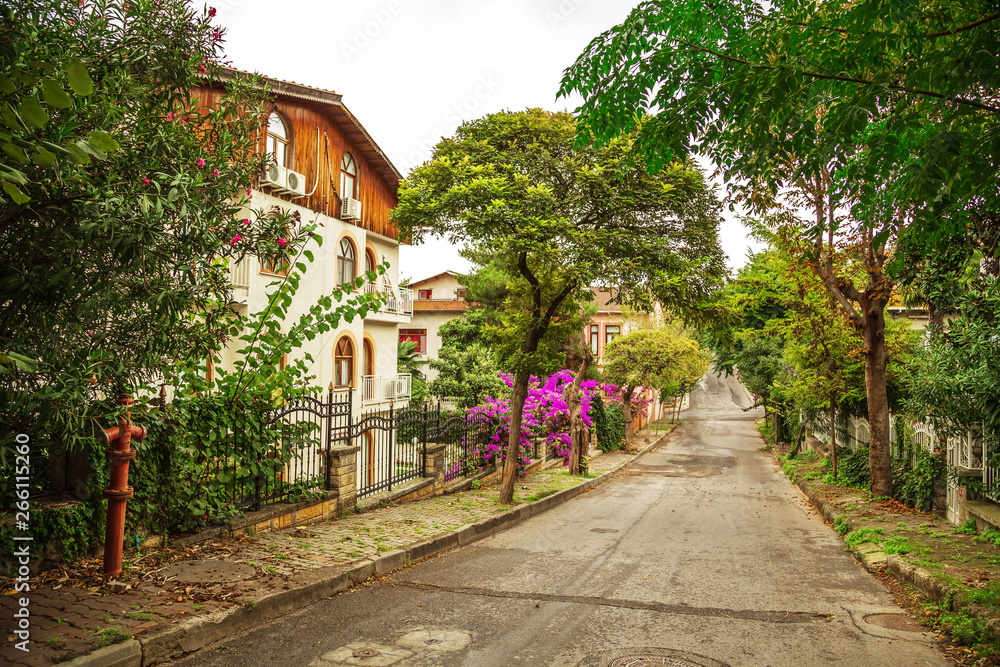 The picturesque streets of the island Buyukada.
