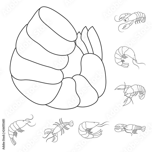Isolated object of food  and sea symbol. Set of food  and animal  vector icon for stock.