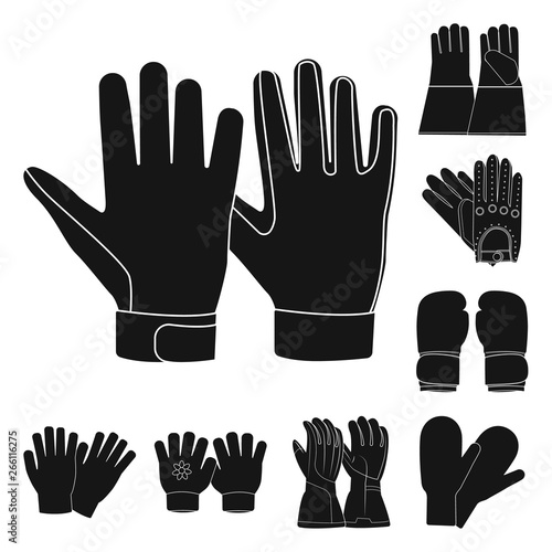 Vector design of glove and winter symbol. Set of glove and equipment stock symbol for web.