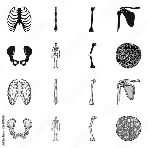 Isolated object of medicine and clinic sign. Collection of medicine and medical stock symbol for web.