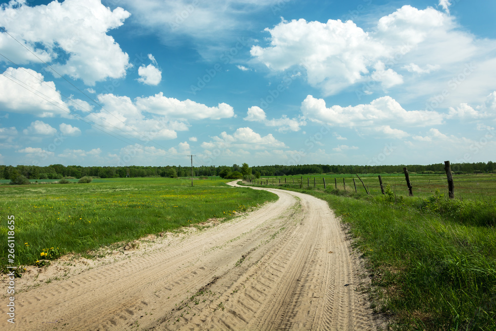 Sandy country road through green meadows, forest on horizon and white clouds on blue sky Sandy country road through green meadows, forest on horizon and white clouds on blue sky