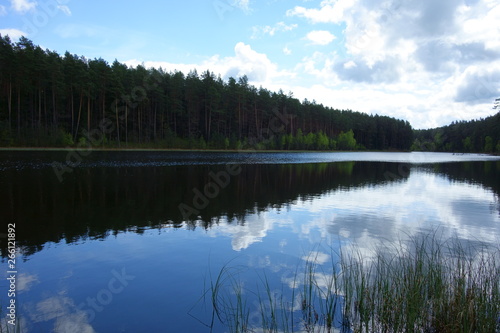 Forest lake at midday, cloudy skies reflecting on the water © Pawel
