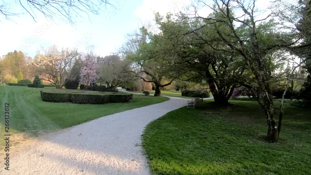 Forward moving view of an arboretum park. Forward moving view of an arboretum park.