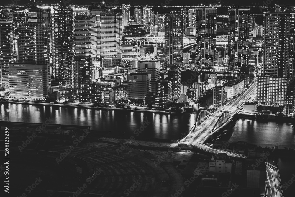 Beautiful night view of Tokyo Bay