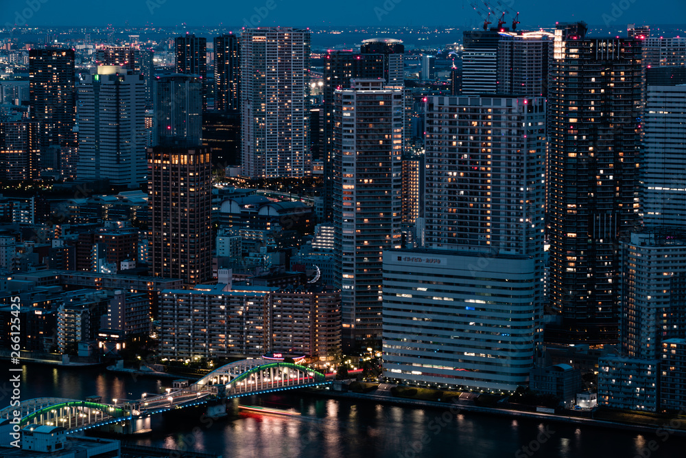 Naklejka premium Beautiful night view of Tokyo Bay