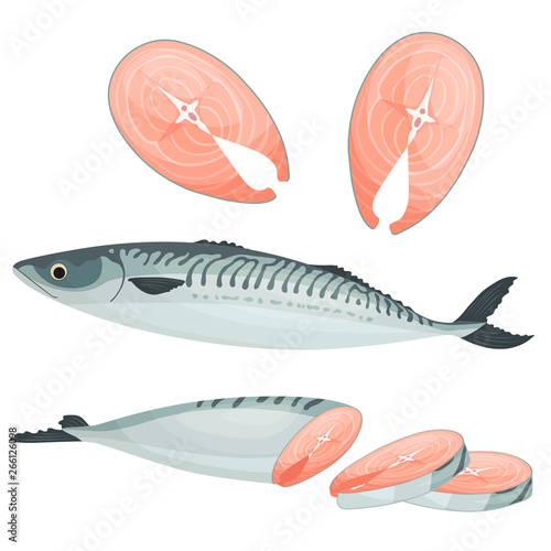 Whole, fillet and sliced mackerel. Vector illustration with sea fish in cartoon style. Steak and pieces of ocean fish isolated on white background.