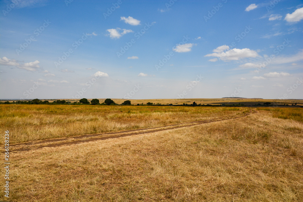 Dry savannah sunny day views in Kenya