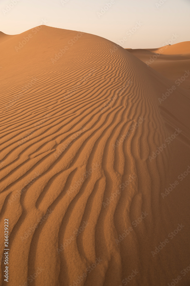 Sand dune relief