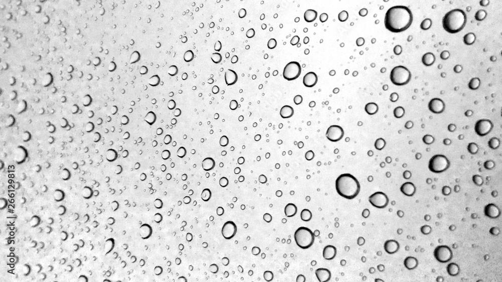 Water droplets texture on gray background