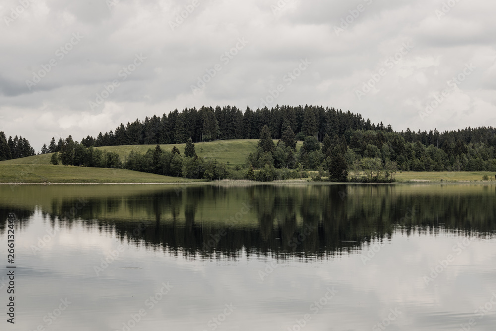 Obraz premium Baumspiegelung im See