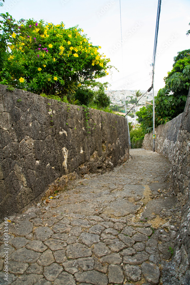 Stone Paved Path in Okinawa
