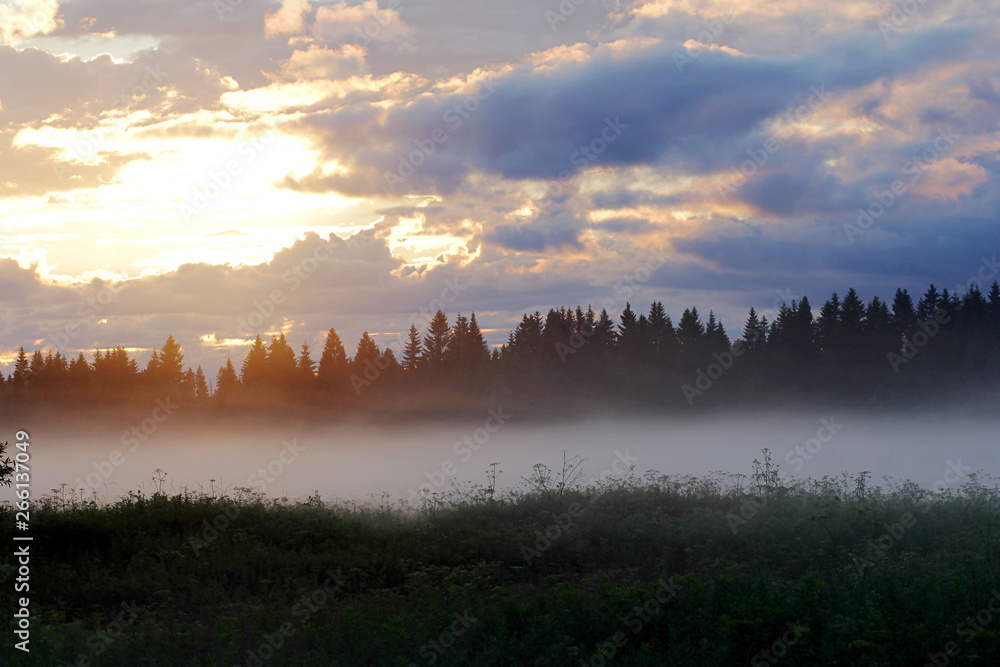 Fototapeta premium Sunset in the fog on a summer evening