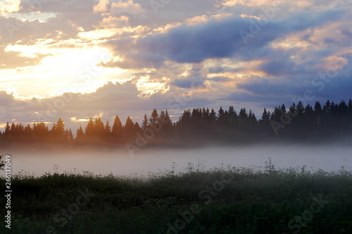 Sunset in the fog on a summer evening