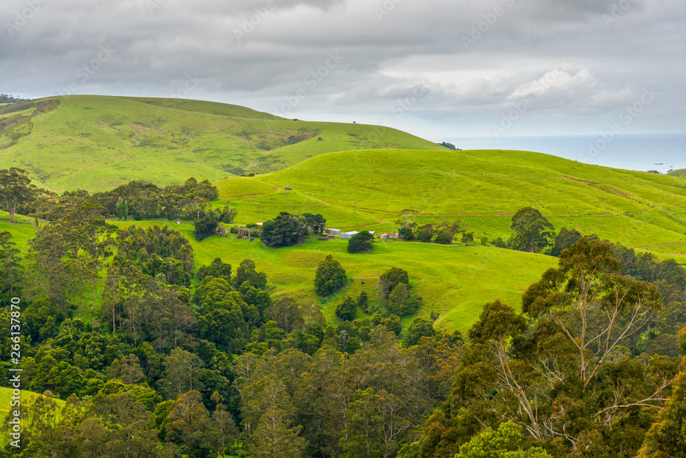 Obraz premium Great Ocean Road