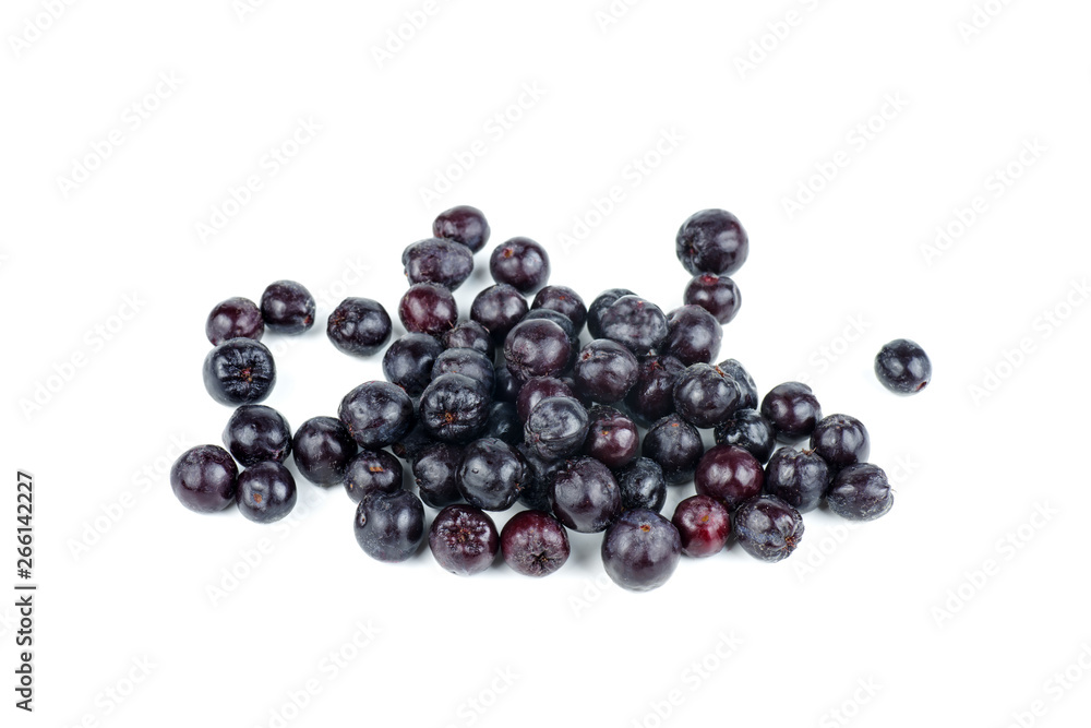 Pile of chokeberries isolated on white background Pile of chokeberries isolated on white background