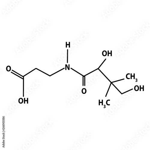Vitamin B5. Pantothenic acid Molecular chemical formula. Infographics. Vector illustration on isolated background.