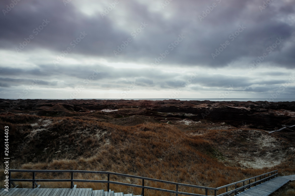 Obraz premium Wooden path in the dunes leading through vast dune landscape