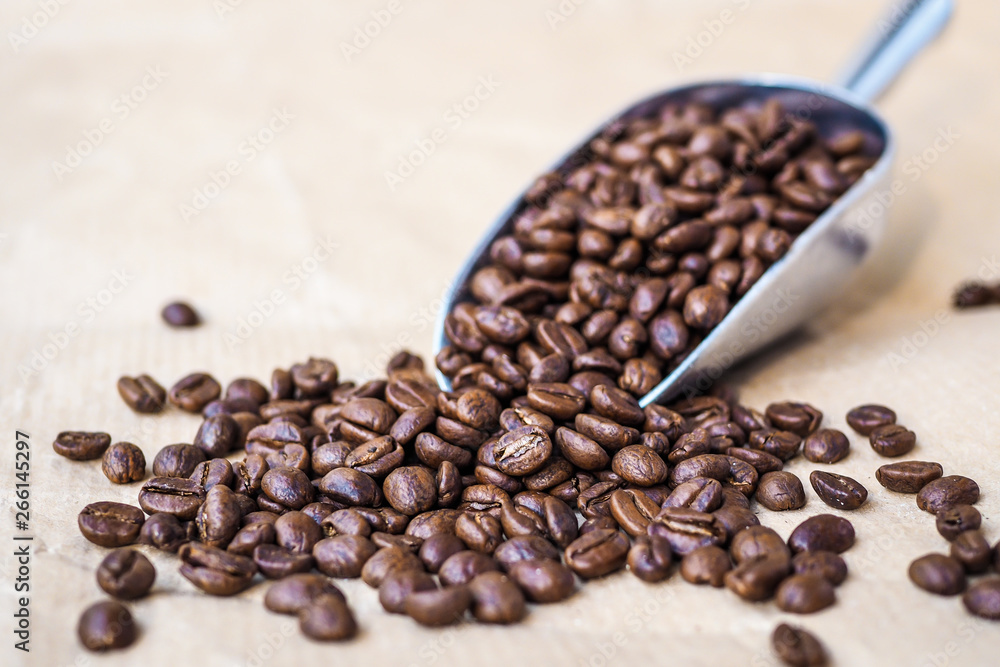Roasted coffee beans on metal scoop Roasted coffee beans on metal scoop