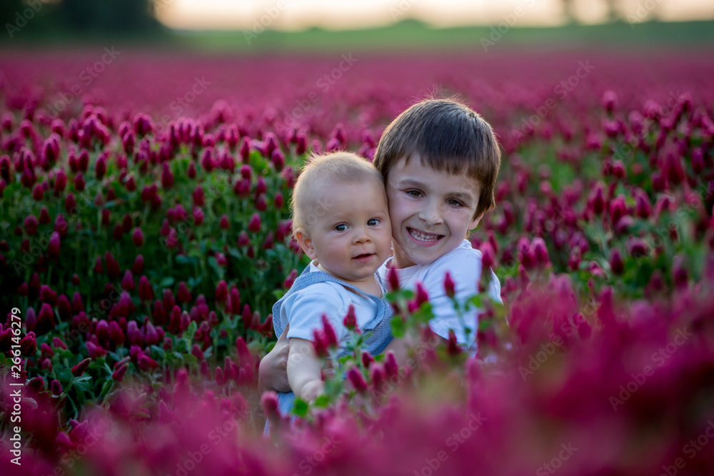 Beautiful children in gorgeous crimson clover field on sunset