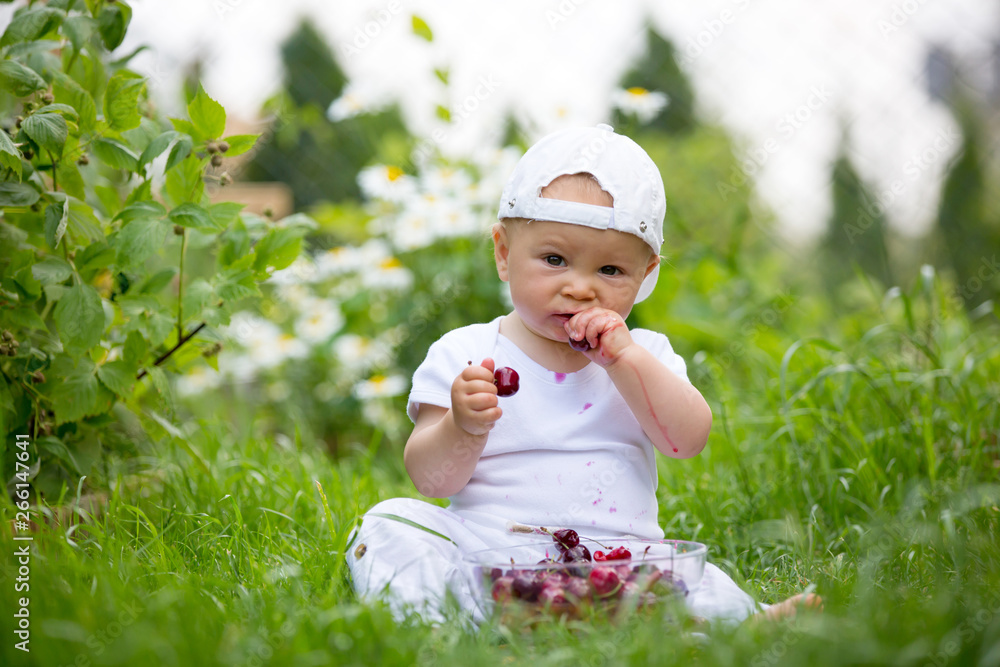 Sweet little child, baby boy, eating cherries in garden, enjoying tasty fruit Sweet little child, baby boy, eating cherries in garden, enjoying tasty fruit