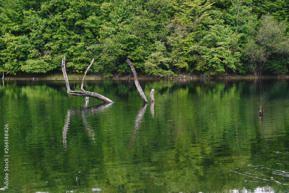 Obraz premium Small lake in the mountains without people in Basque Country