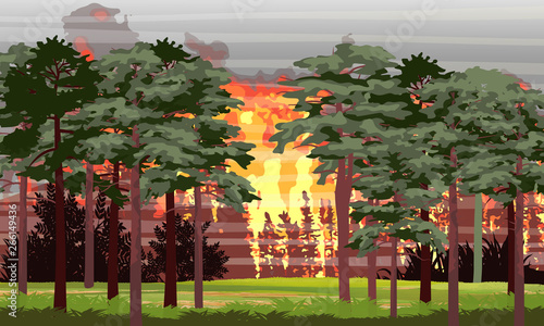 Fire in the pine forest. Burning trees. Wildfire. Catastrophe. Realistic Vector Landscape