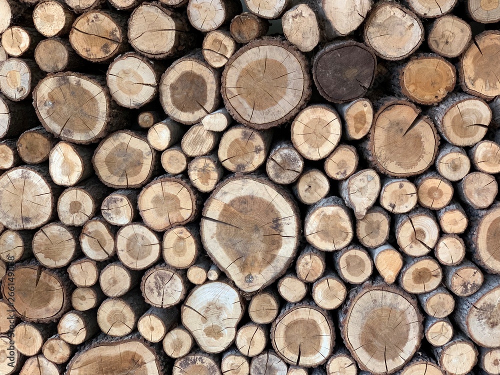 These natural wooden discs are surrounded with bark, fantastic for table numbers, wedding decorative ideas and general crafting. These natural wooden discs are surrounded with bark, fantastic for table numbers, wedding decorative ideas and general crafting.