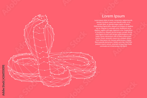 Cobra in a rack with the parted ribs in the form of a hood from abstract futuristic polygonal white lines and dots on pink rose color coral background . Vector illustration.