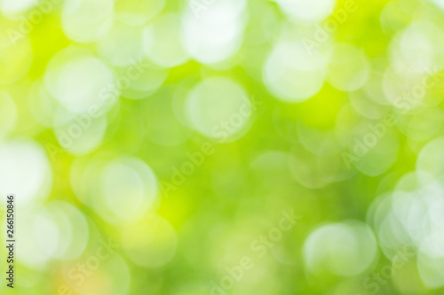 green nature background, abstract concept