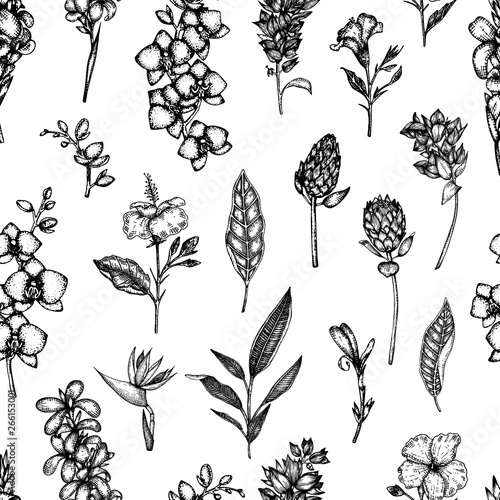 Vector seamless pattern of tropical flowers isolated on white background. Hand drawn floral background. Floral graphic black and white repeating ornament. Tropic design elements. Line shading style