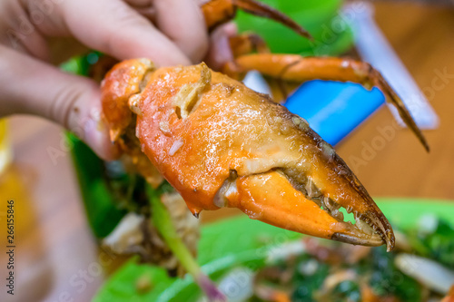 Claw of cooked crab with sauce close-up