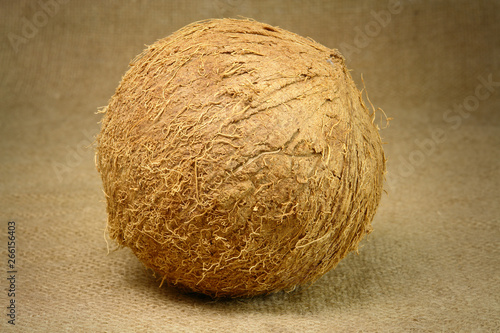 Fresh Coconut on sachcloth