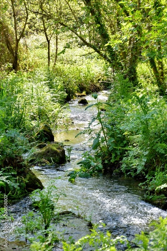 Sentier en Bretgane