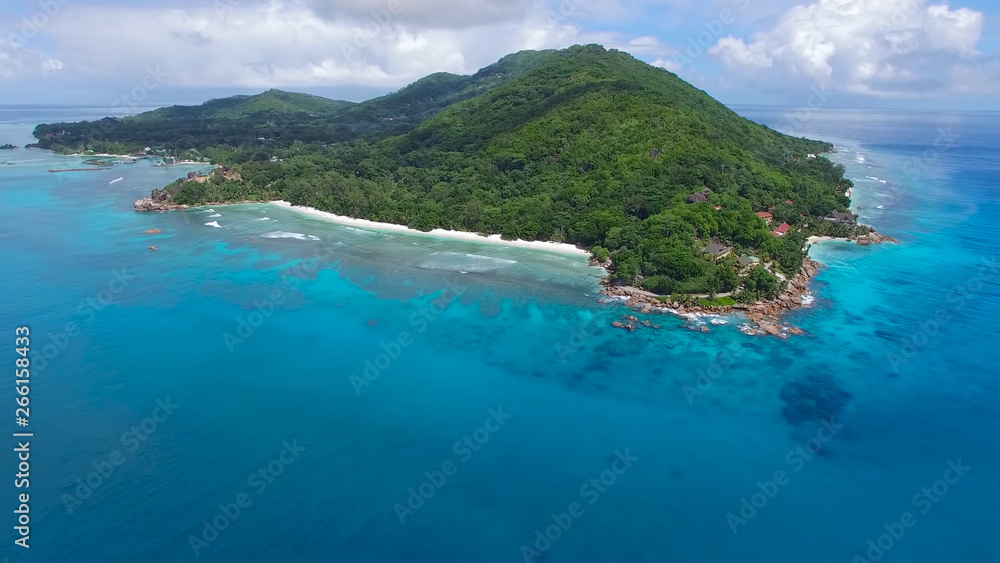 Fototapeta premium beach